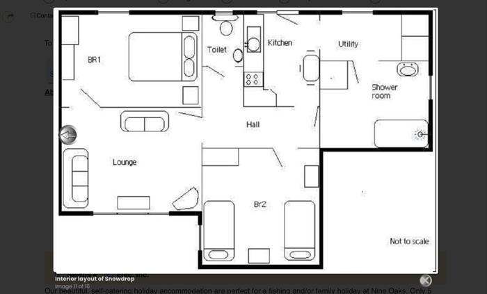 Layout